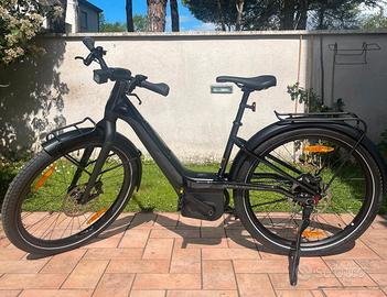 Bici Elettrica Harley Davidson - Rush City