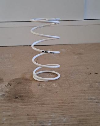 Molla Contrasto Bianca Malossi