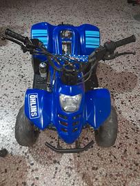 2011 CINA atv