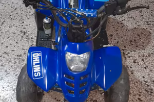 2011 CINA atv