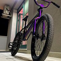 Bmx freestyle camaleont