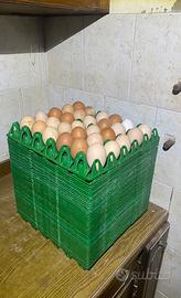 Vassoio Portauova in plastica