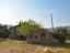 Immagine 12