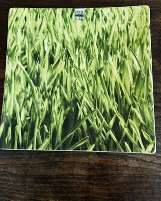 Piatto di porcellana