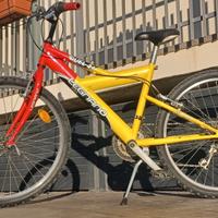 Mtb 24 ragazzo Legnano