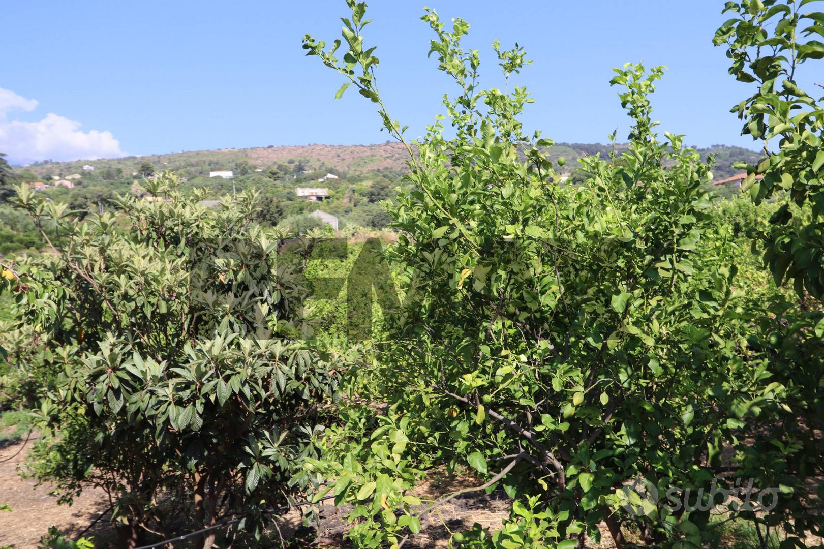 Terreno - Mascali - Vista 4