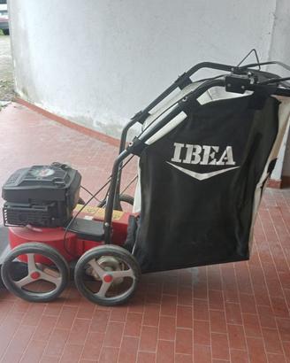 Aspirafoglie ibea