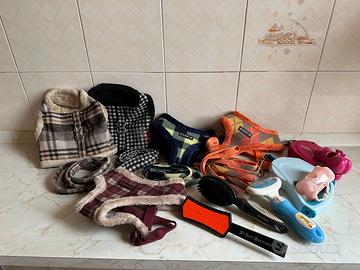 Accessori per cani piccola taglia