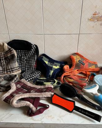 Accessori per cani piccola taglia
