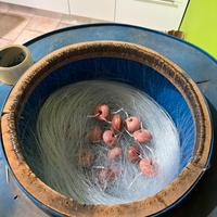 Palamito 400 ami da fondo