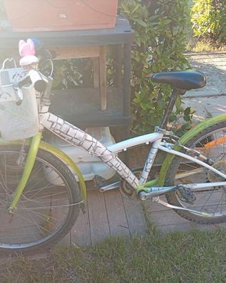 bicicletta unisex 