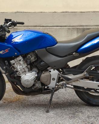 hornet 600 s cupolino 