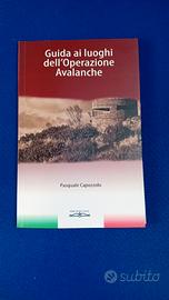 Guida ai luoghi dell'operazione Avalanche 