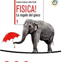 Fisica Le regole del gioco. Vol.1