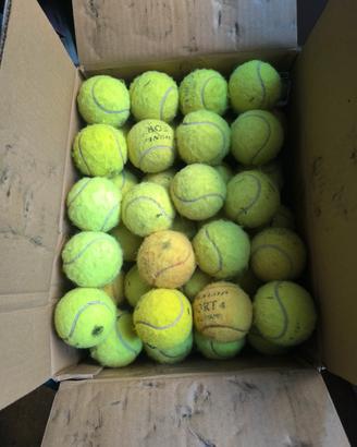 Palline Tennis Multiuso 