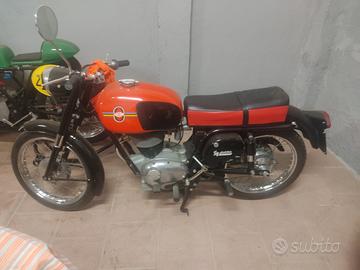 Gilera Altro modello - 1967