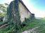Immagine 8