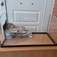 TARTARUGHIERA IN VETRO