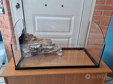 TARTARUGHIERA IN VETRO