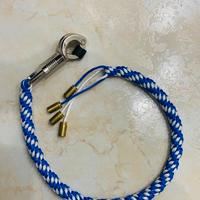 Whip (frista per moto)