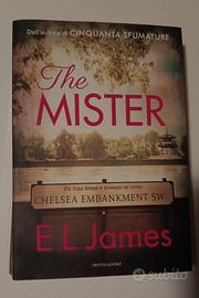 Libro usato: The mister
