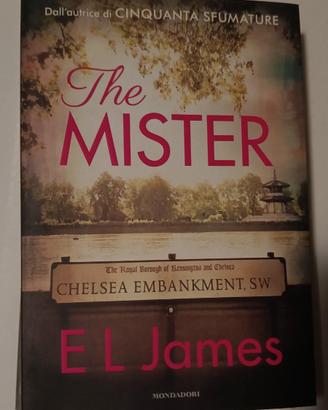 Libro usato: The mister