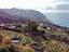 Immagine 18