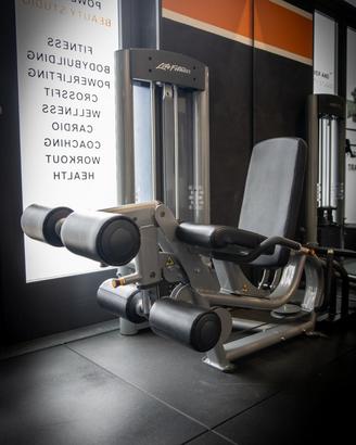 Lifefitness Leg Extension / Curl doppia funzione
