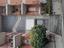 Immagine 7