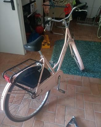 bicicletta donna 