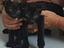 Immagine 4