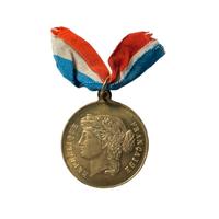 Medaglia onore alla patria Roubaix 1913 Francia