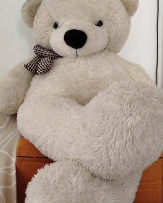 Orso grande bianco