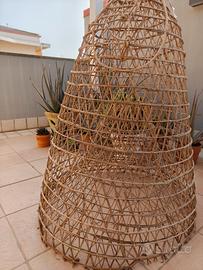 Nassa Giunco 