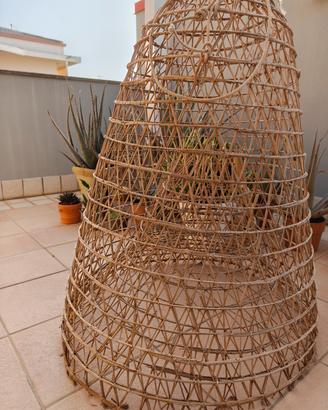 Nassa Giunco 
