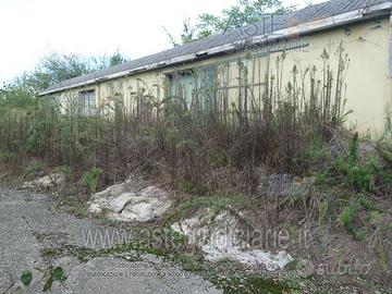 Capannone Industriale Castelfranco Emilia