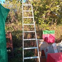 Scala 5mt.conica olivi.