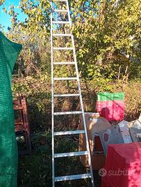 Scala 5mt.conica olivi.