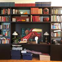 Libreria Poliform in Wengé