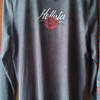Maglia Hollister Grigio Delavé con Rose 🌹