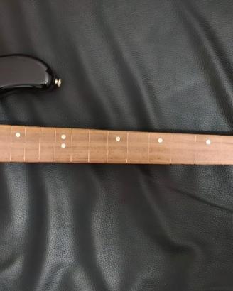 Cort G-series 2008 fretless