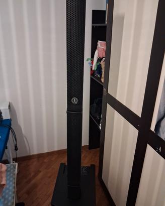 Cassa amplificata b-twig 12 pro 