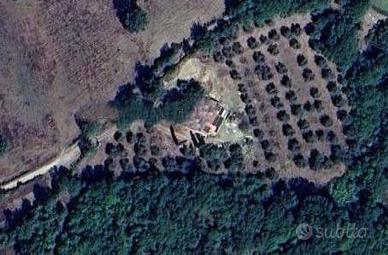 Casa singola - Scansano