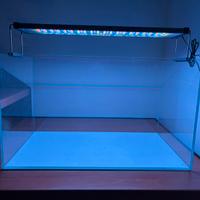 Acquario Blau extrachiaro 80 LT