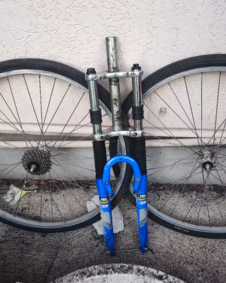 ruote e forcella bici
