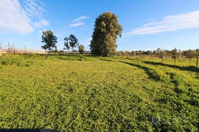 Casa indipendente con capannoni e terreni