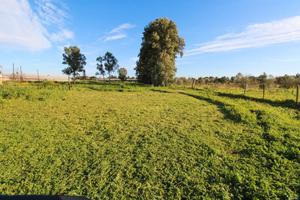 Casa indipendente con capannoni e terreni