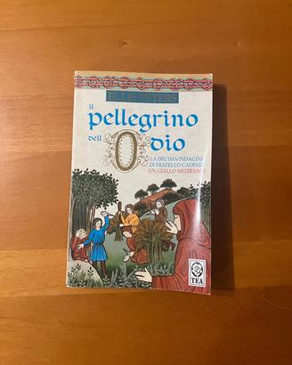 Il pellegrino dell'odio