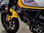 Immagine 14