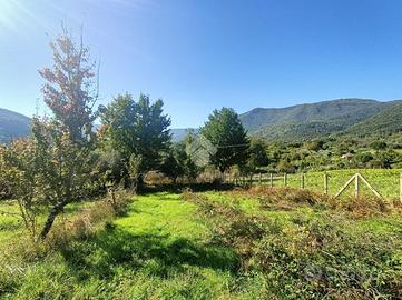 TER. AGRICOLO A SEGNI